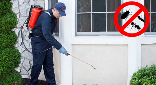 Merzifon Kemirgen İlaçlama böcek ilaçlama ve haşere kontrolü — ilaclama-tr.com